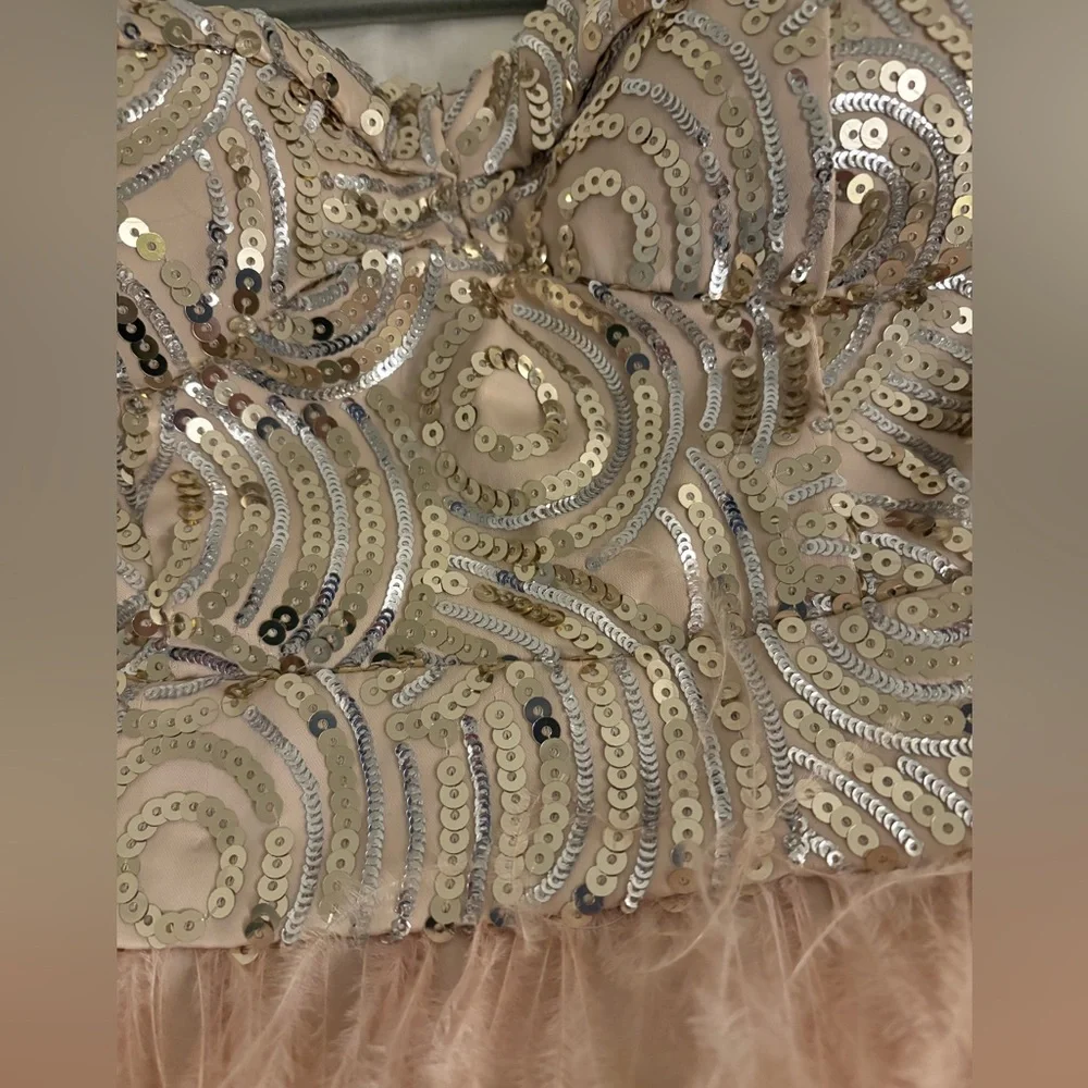 Bebe sequin feather dress - Picture 5 of 7